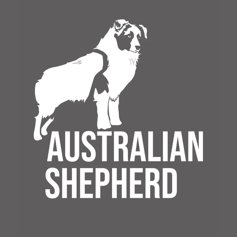 Australian Shepherd Aussie Hund