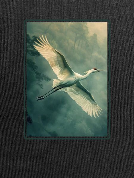 Cranes Crane