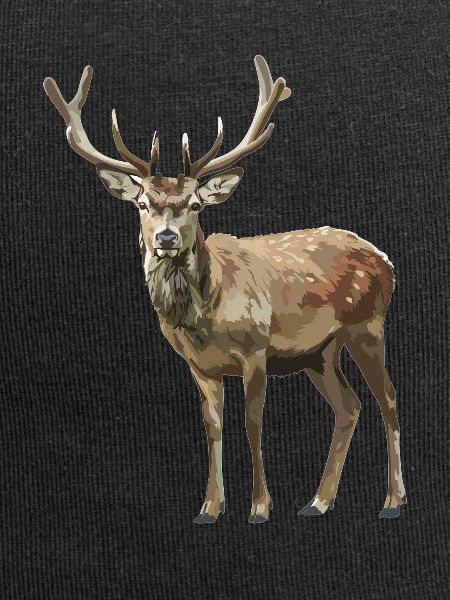 Deer Deer