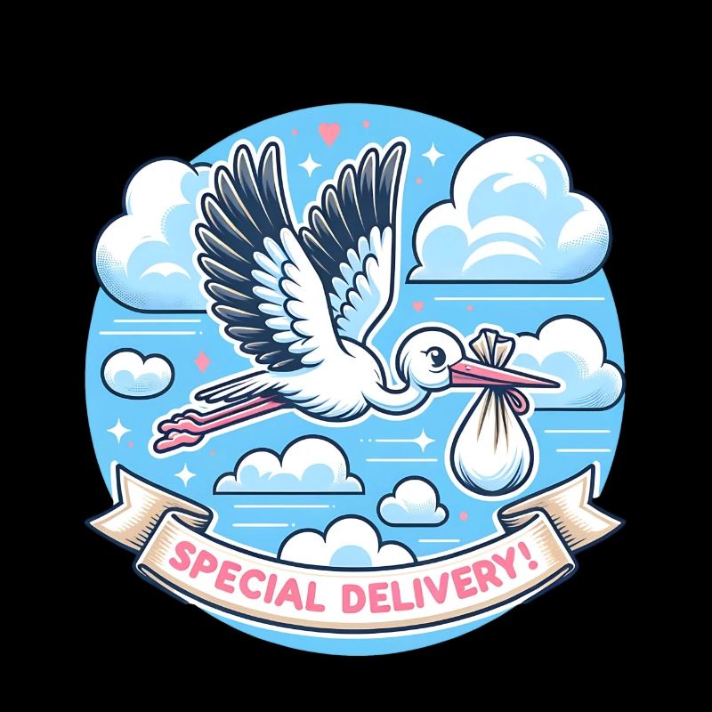 Special Delivery Stork Clouds Sky