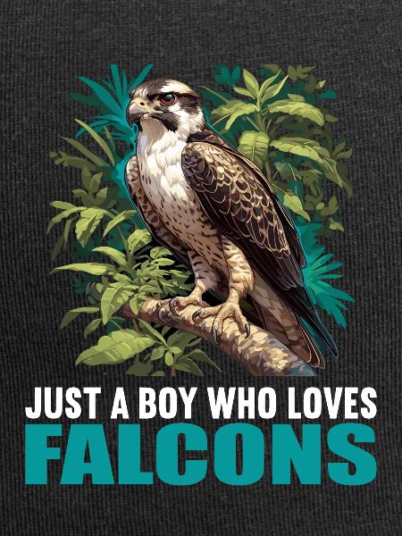 Falcon Falcon