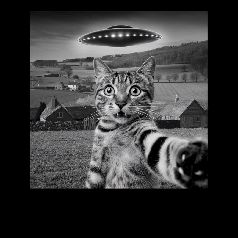 Alien Encounter Cat Selfie
