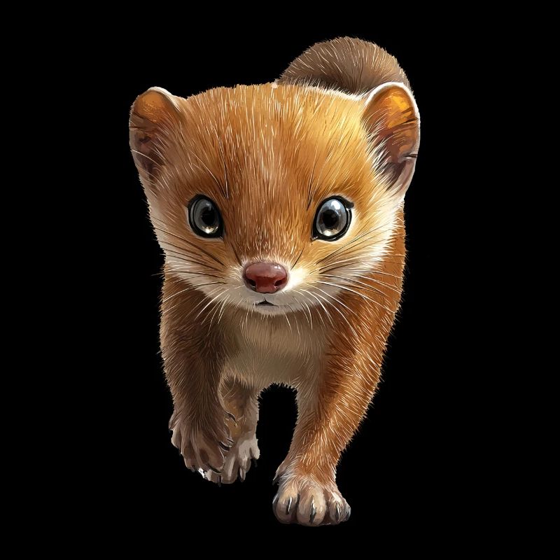 Wiesel