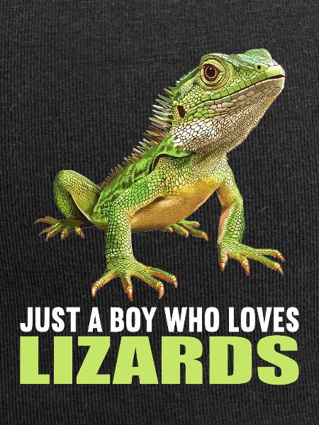 Lizards Lizard