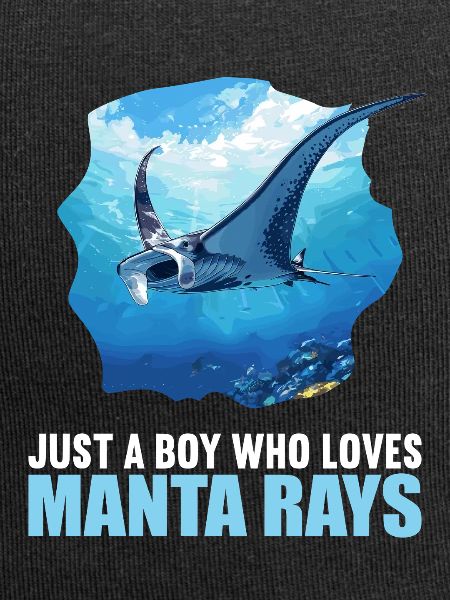 Manta Rays Manta Rays