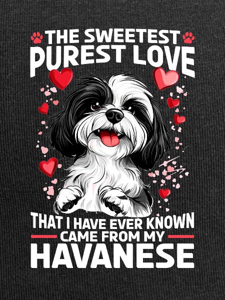 Cute Havanese Dog Owner