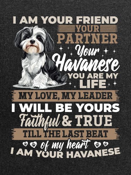 Cute Havanese Dog Owner