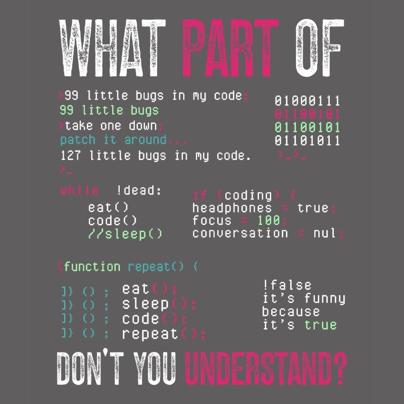 Programmeur, Codage informatique, Développeur de logiciels