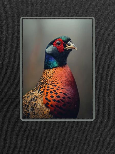 Pheasants Pheasant