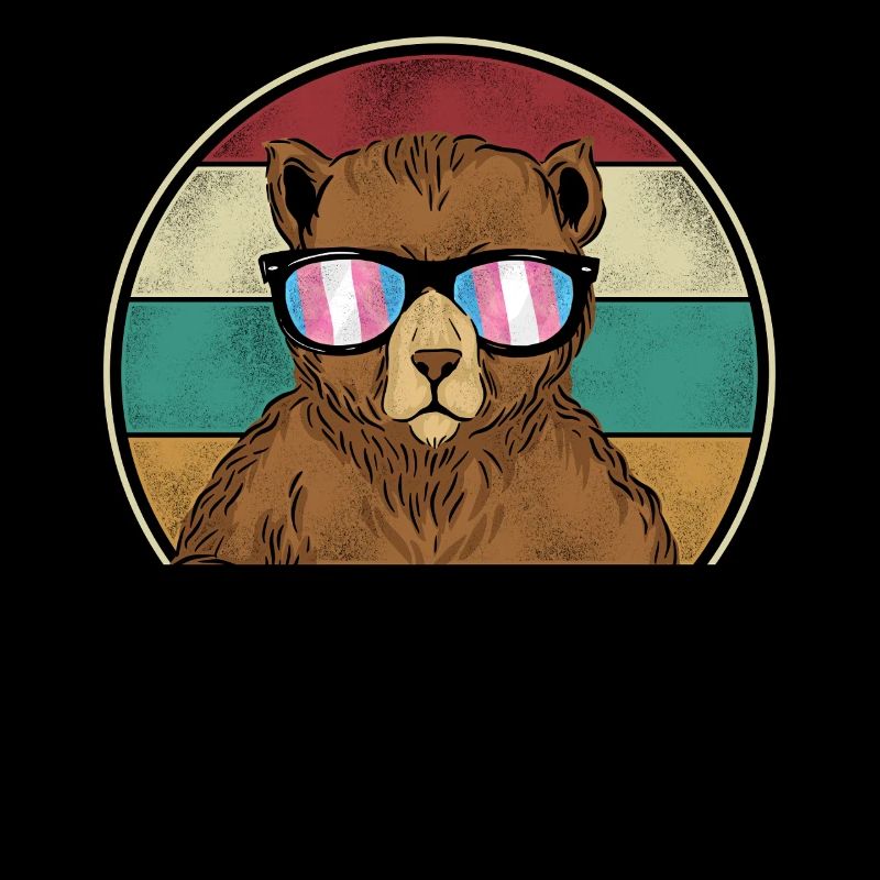 Transgender Trans LGBT Pride
