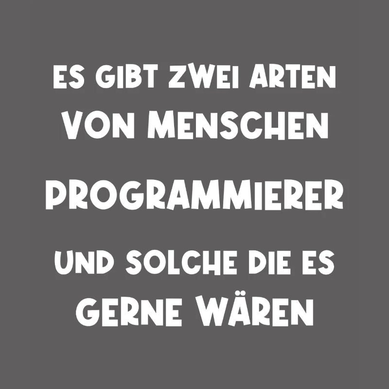Programmierer Informatiker Softwareentwickler