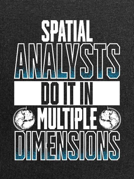 Geografische Informationssysteme Spatial Analysts