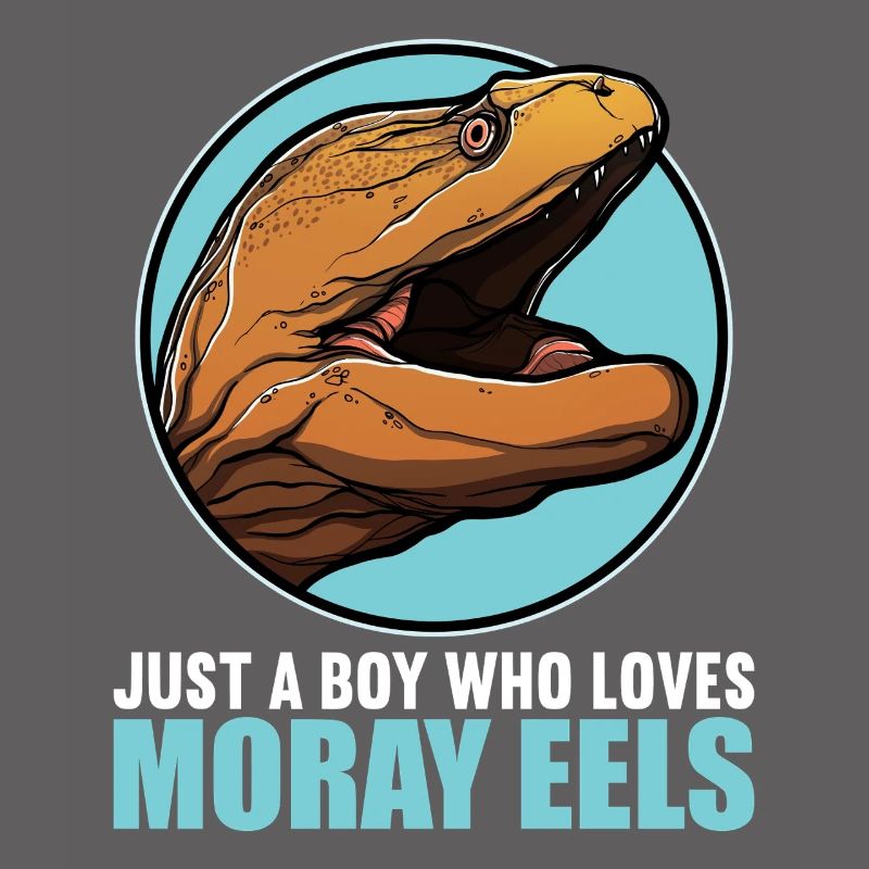 Moray eels Moray eel