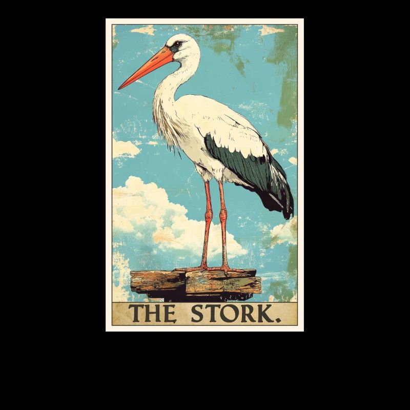Störche Storch