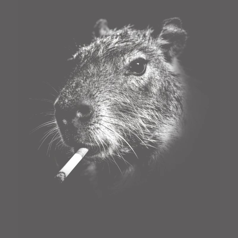 Rauchen, Zigarette, Capybara raucht eine Zigarette