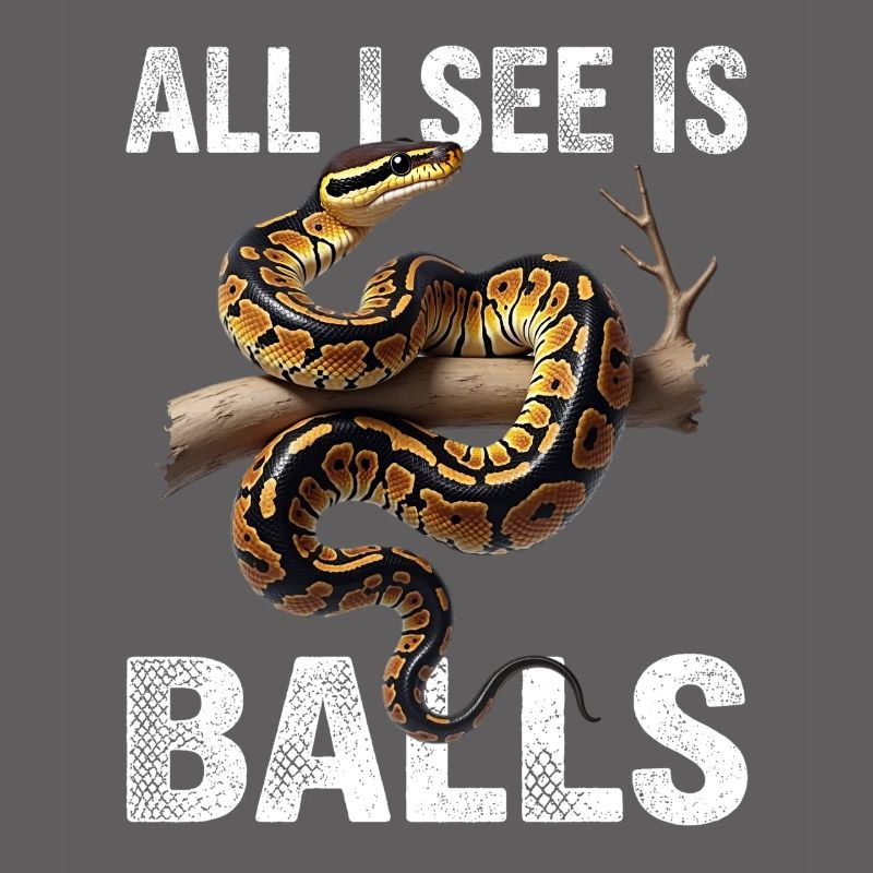 Python roi Serpents Amateurs de terrarium Python