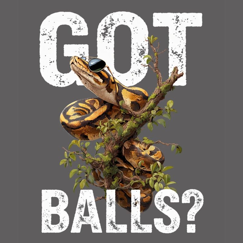 Python roi Serpents Amateurs de terrarium Python