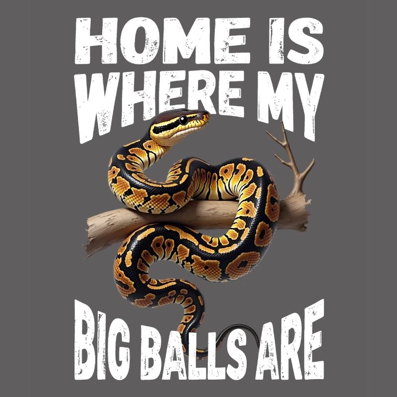 Python roi Serpents Amateurs de terrarium Python