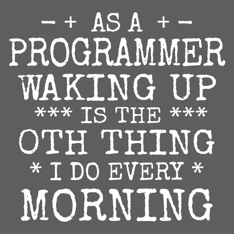 Software Ingenieur Informatiker Programmierer