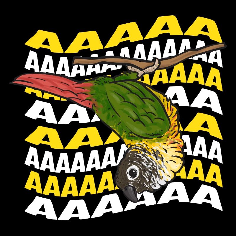 Molinasittich Papagei Vogel Sittich
