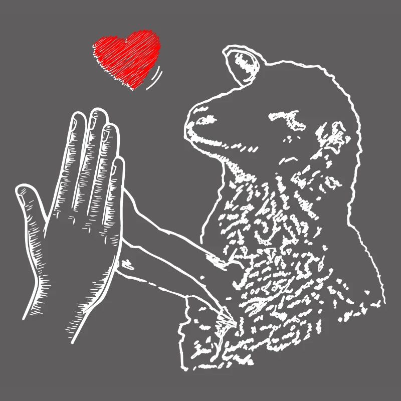High Five Schaf