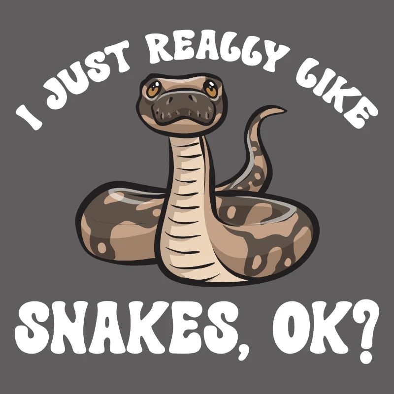 Ball Python Schlange Königspython