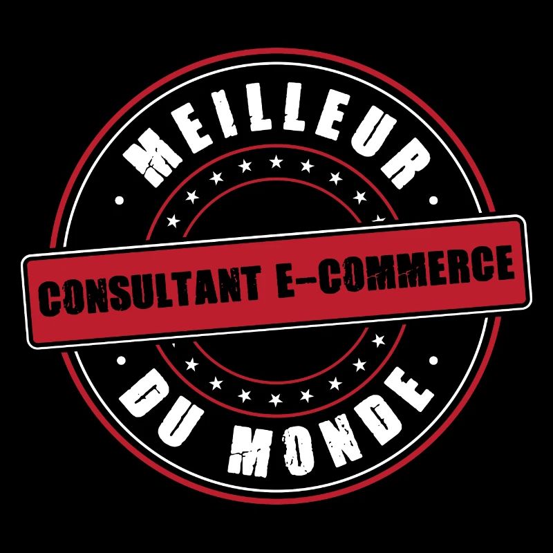 Meilleur consultant e commerce profession métier