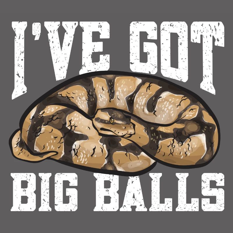 Ball Python Snake King Python