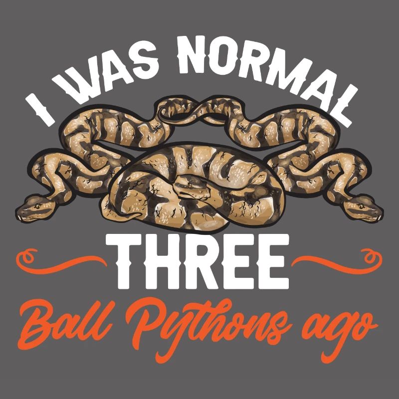 Ball Python Snake King Python