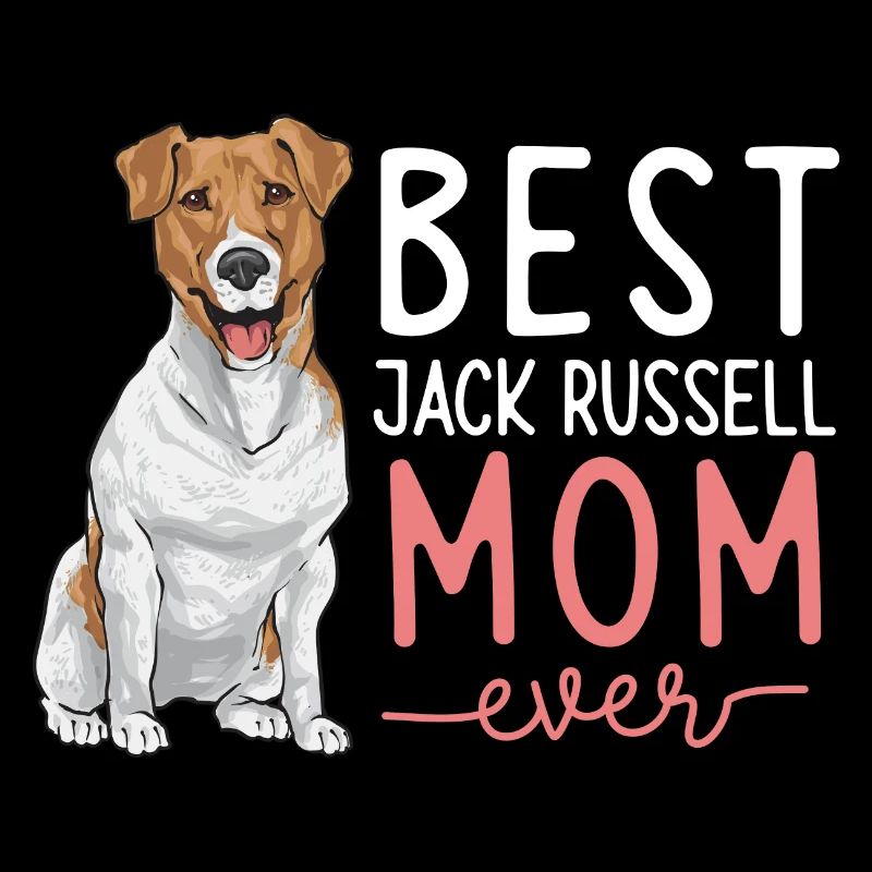 Jack Russell Terrier