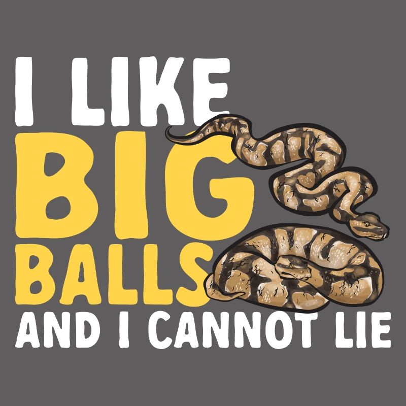 Ball Python Snake King Python