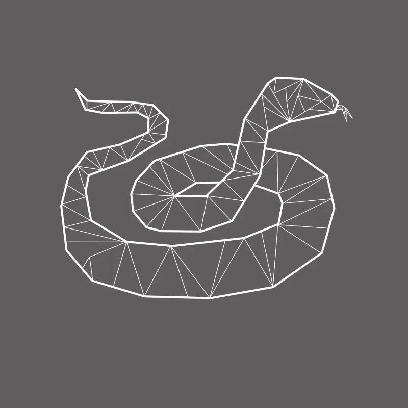 Python geometric