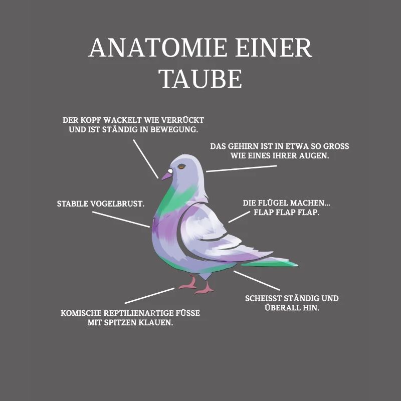 Anatomie einer Taube - Brieftaube Tauben Flüsterer