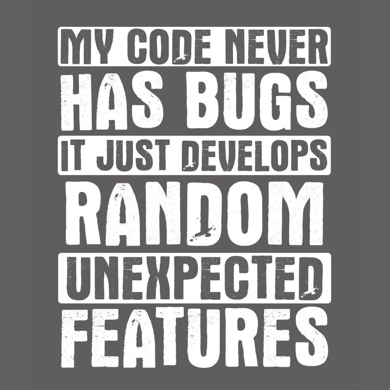 Software Ingenieur Informatiker Programmierer