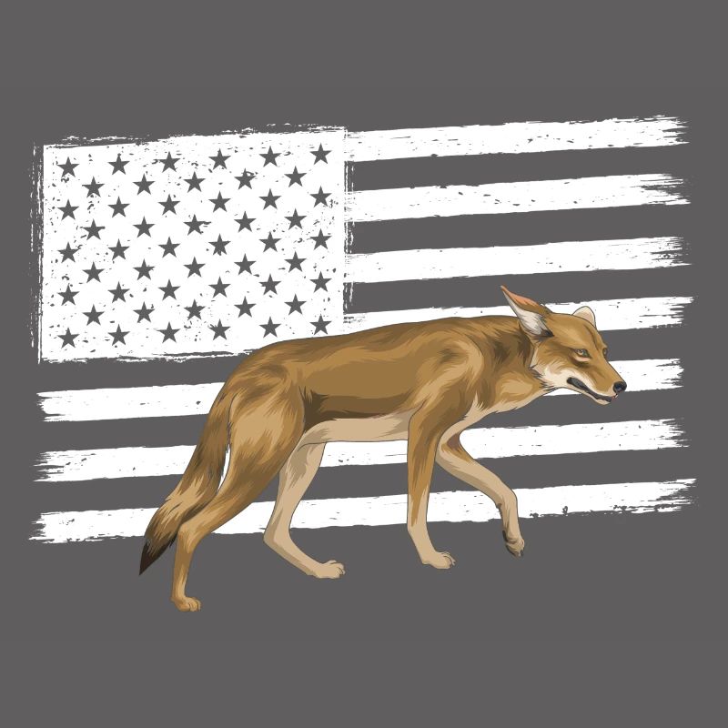 Capture de coyotes et conception de chasseur de coyotes