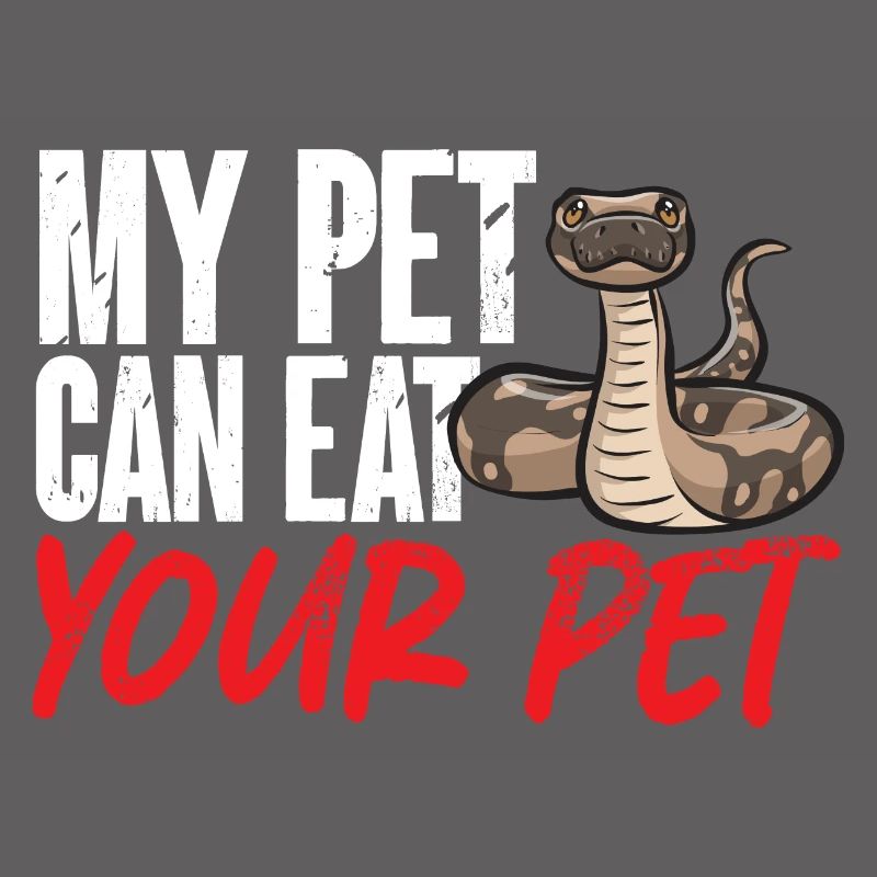 Ball Python Snake King Python