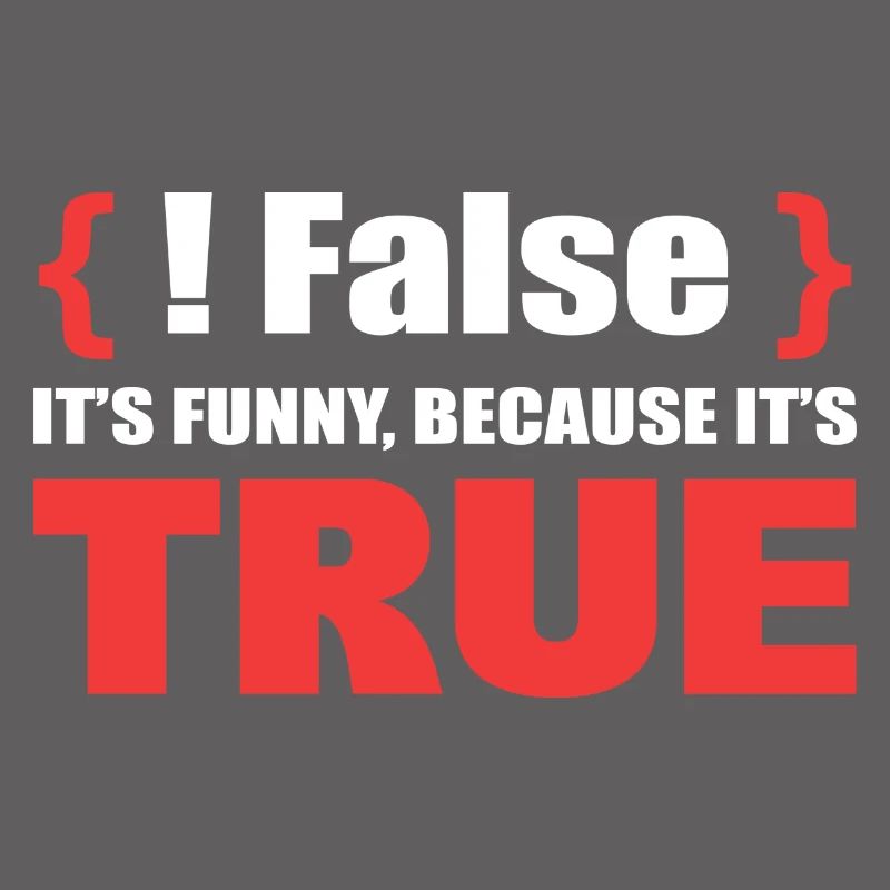 False It's Funny Because It's True Programmierer