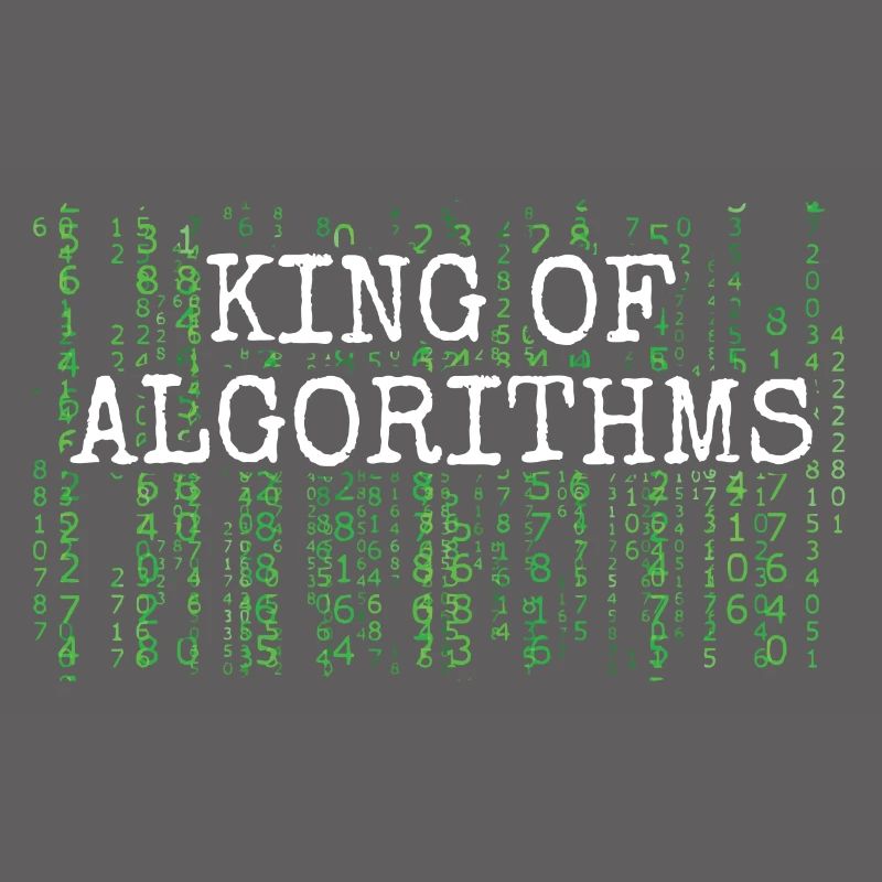 Software Ingenieur Informatiker Programmierer