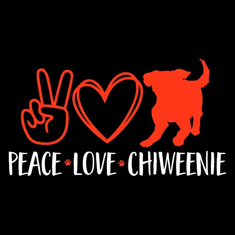 Chiweenie Dog