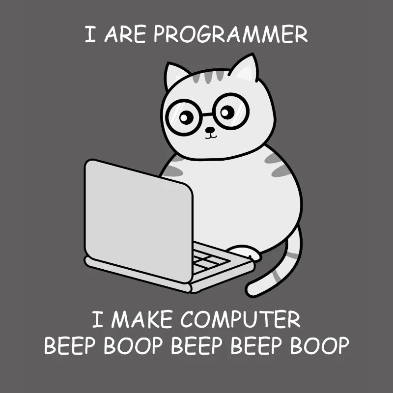 Computer scientist computer science programming engineer