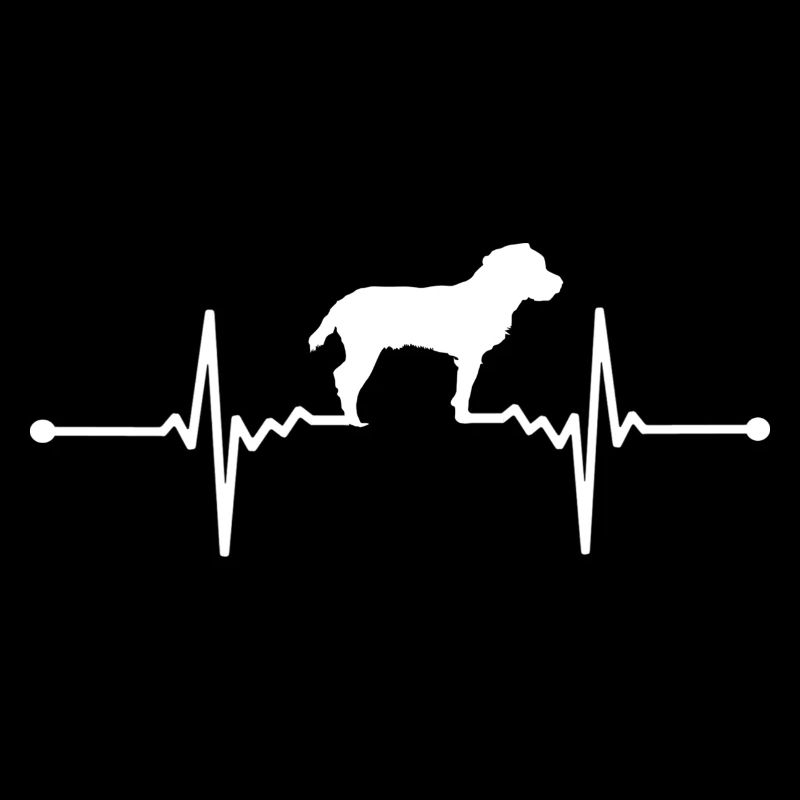 Jagdterrier - Deutscher Jagdterrier