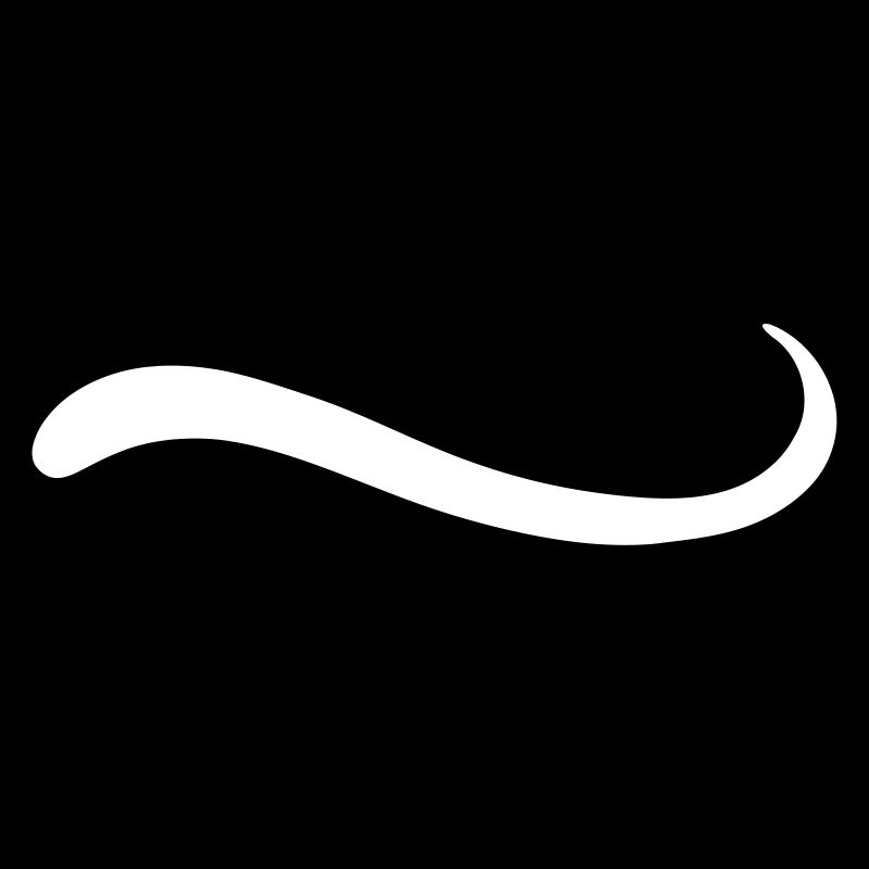 Underline line swing line Swash Swosh