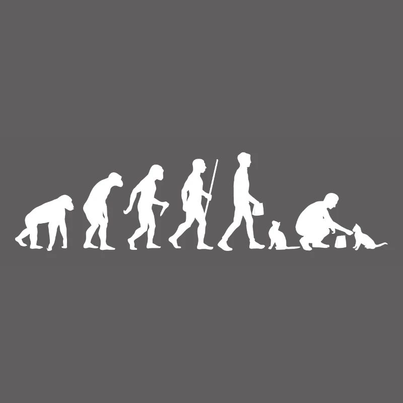 Evolution Cat Cat Propriétaire De chat Propriétaire de chat