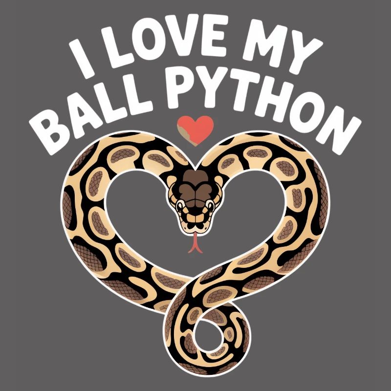 J’adore mon python royal ! Roi python