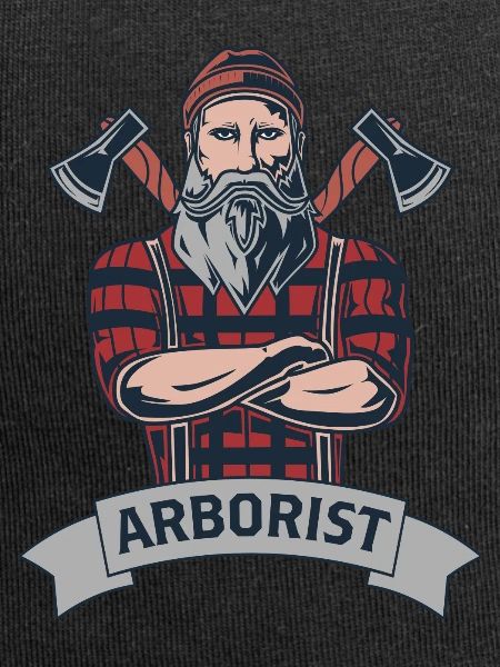 Baumkletterer Baumpfleger Arborist Baumpflege