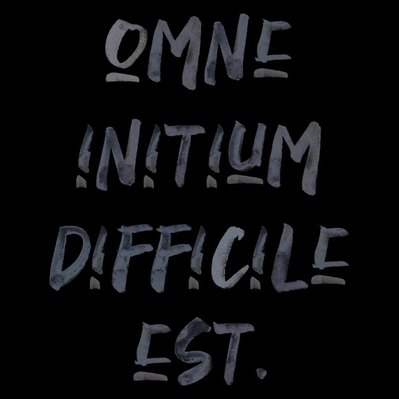 all beginning is difficult Latin quotation scripture