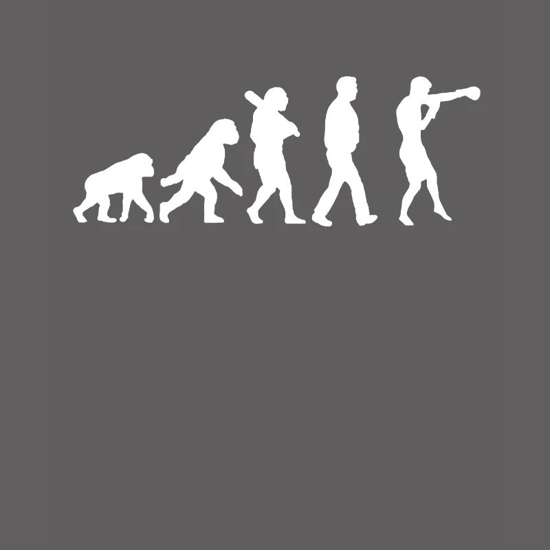 Évolution de la boxe