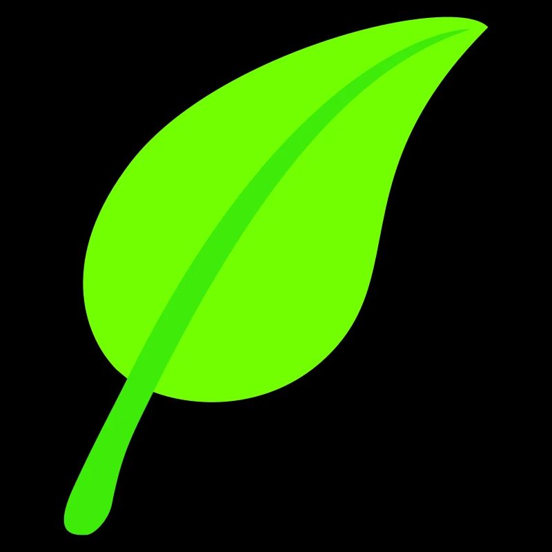 Green Beautiful Leaf Eco Spring Summer Nature