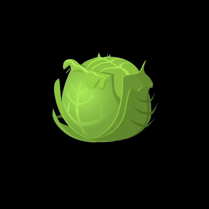 Cabbage