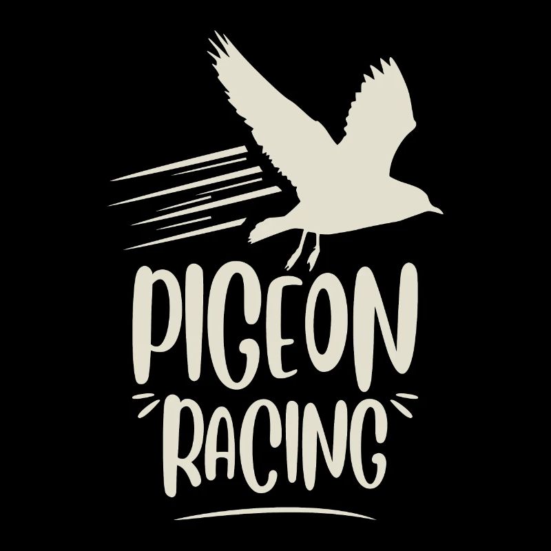 Pigeon de course pigeon de course